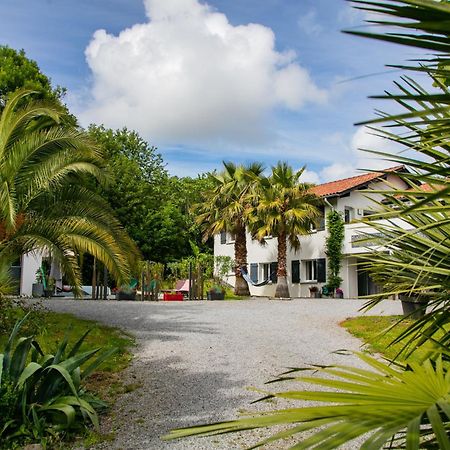 Erreka Txikia Bed & Breakfast Urrugne Bagian luar foto